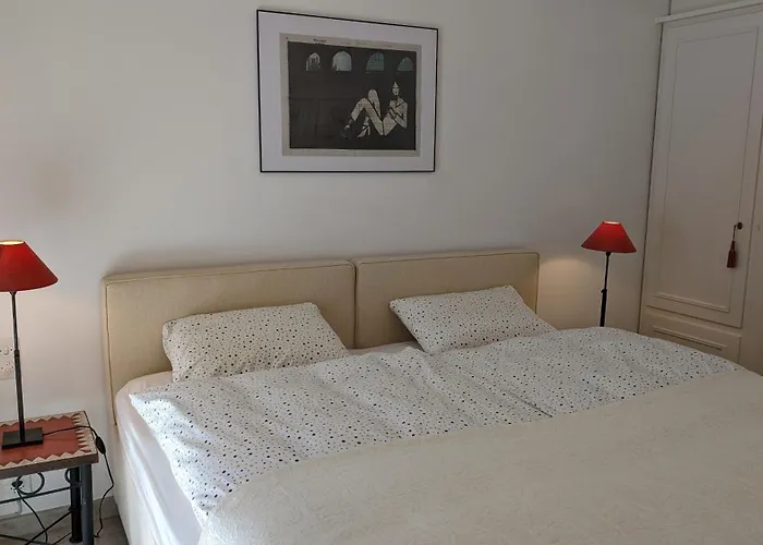 Bellavista 公寓 阿斯科纳